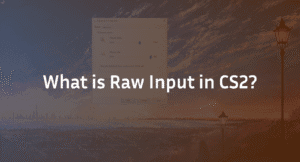  CS2 Raw Input: Ultimate Guide to Enable, Disable &amp; Optimize 