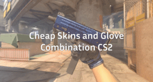 Best Cheap Skins & Glove Combos in CS2 
