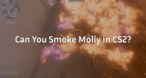 Can You Smoke Molly in CS2? Everything You Need to Know