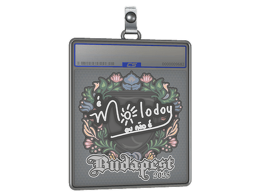 Sticker Slab | molodoy | Budapest 2025