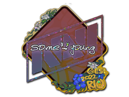 Sticker | sdy (Glitter) | Rio 2022