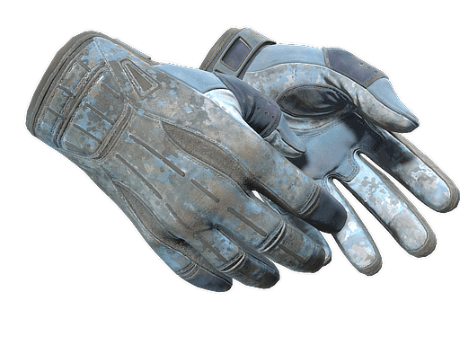 ★ Sport Gloves | Frosty