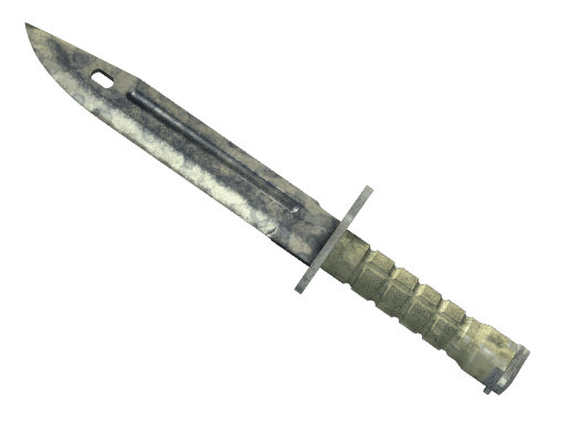 ★ Bayonet | Stained