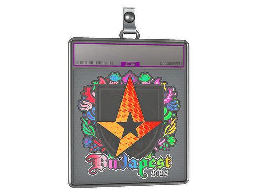 Sticker Slab | Astralis (Holo) | Budapest 2025