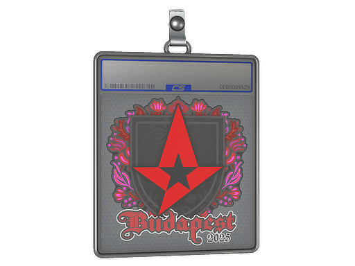 Sticker Slab | Astralis | Budapest 2025