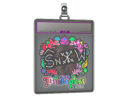 Sticker Slab | snow (Holo) | Budapest 2025