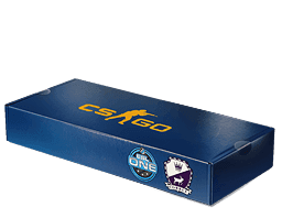 ESL One Cologne 2014 Cobblestone Souvenir Package