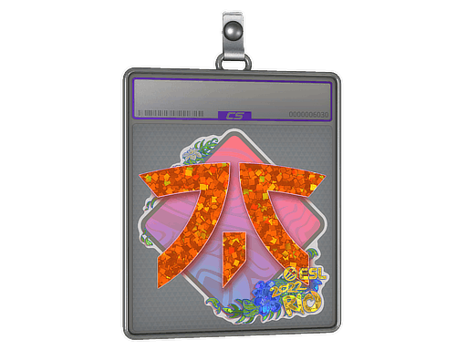 Sticker Slab | Fnatic (Glitter) | Rio 2022