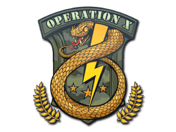 Sticker | Badge of Service