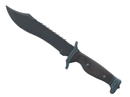 ★ StatTrak™ Bowie Knife | Night