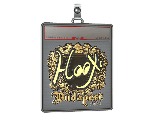 Sticker Slab | HooXi (Gold) | Budapest 2025