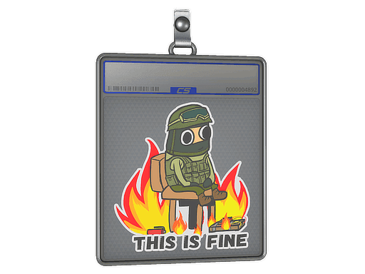 Sticker Slab | This Is Fine (CT)