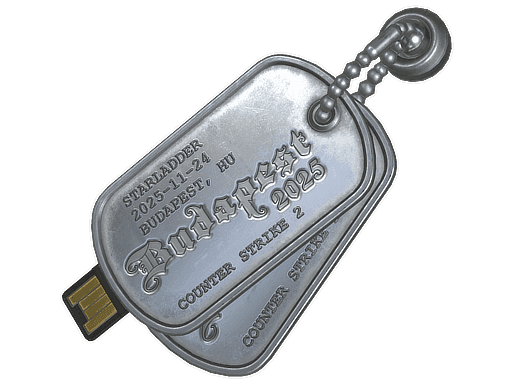 Charm | Budapest 2025 Highlight | ZywOo all angles