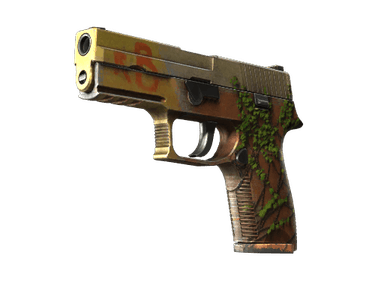 P250 | Inferno - Field-Tested