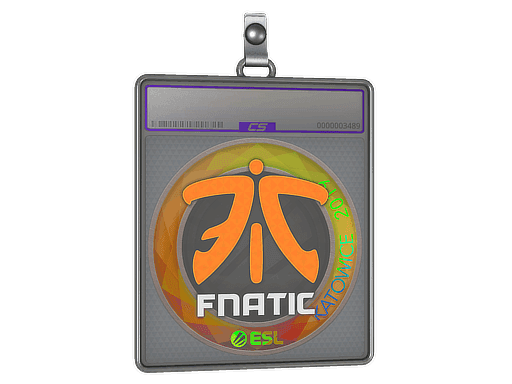 Sticker Slab | Fnatic (Holo) | Katowice 2019