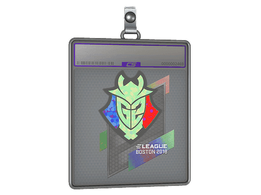 Sticker Slab | G2 Esports (Holo) | Boston 2018