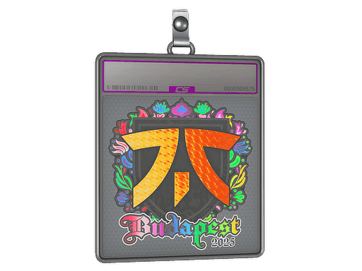 Sticker Slab | fnatic (Holo) | Budapest 2025