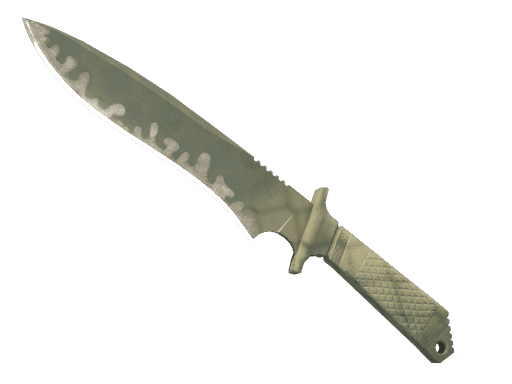 ★ StatTrak™ Classic Knife | Safari Mesh