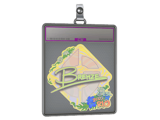 Sticker Slab | Brehze (Holo) | Rio 2022