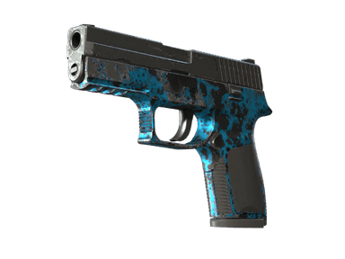 P250 | Undertow - Field-Tested