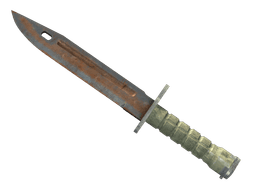 ★ Bayonet | Rust Coat