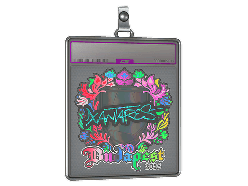 Sticker Slab | XANTARES (Holo) | Budapest 2025