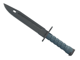 ★ StatTrak™ Bayonet | Night