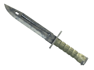 ★ Bayonet | Stained - Field-Tested