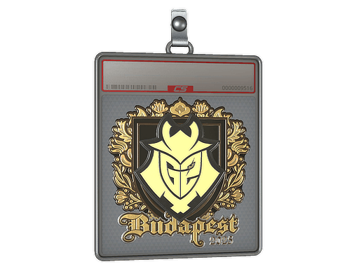 Sticker Slab | G2 esports (Gold) | Budapest 2025