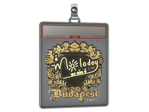 Sticker Slab | molodoy (Gold) | Budapest 2025