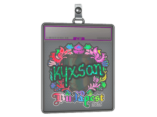 Sticker Slab | kyxsan (Holo) | Budapest 2025