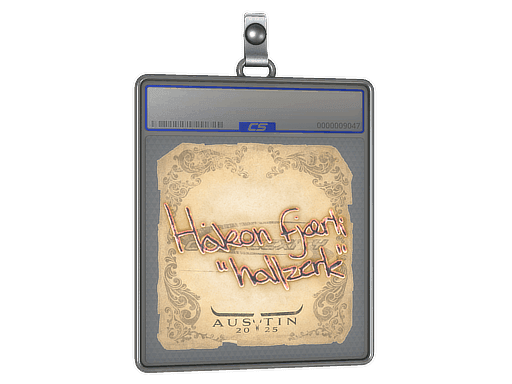 Sticker Slab | hallzerk | Austin 2025