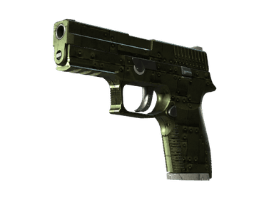 P250 | Iron Clad - Field-Tested