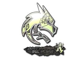 Sticker | Team Spirit (Holo) | Antwerp 2022