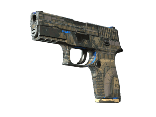 P250 | Exchanger