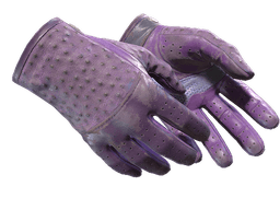★ Driver Gloves | Plum Quill