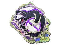 Sticker | Outsiders (Holo) | Rio 2022