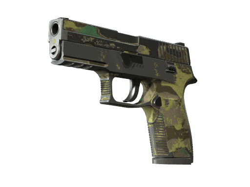 P250 | Boreal Forest