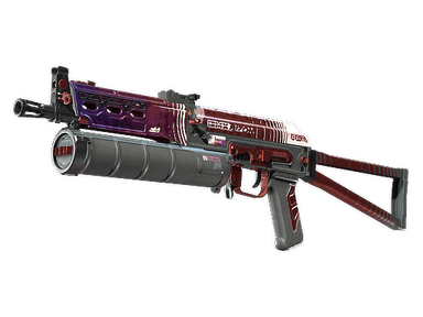 PP-Bizon | RMX - Field-Tested