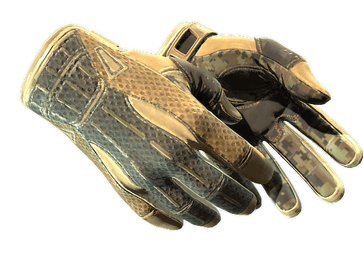 ★ Sport Gloves | Arid