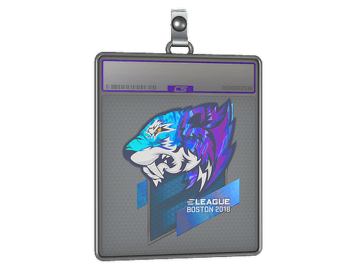 Sticker Slab | Flash Gaming (Holo) | Boston 2018