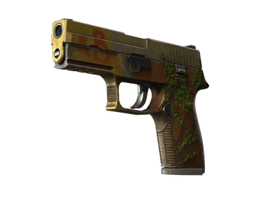 P250 | Inferno - Battle-Scarred