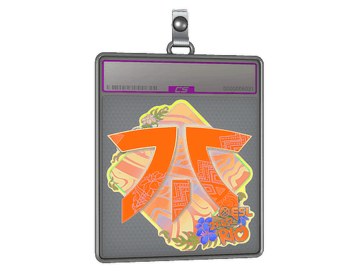 Sticker Slab | Fnatic (Holo) | Rio 2022