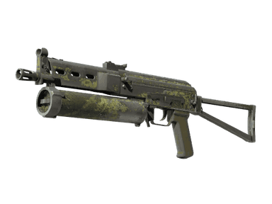 PP-Bizon | Anolis - Battle-Scarred