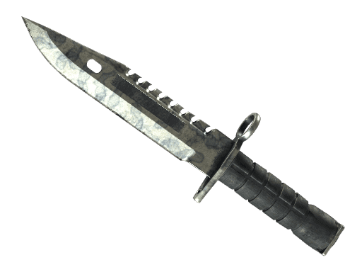 ★ StatTrak™ M9 Bayonet | Stained