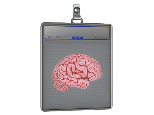 Sticker Slab | CS On The Mind