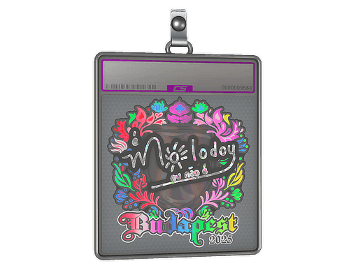 Sticker Slab | molodoy (Holo) | Budapest 2025