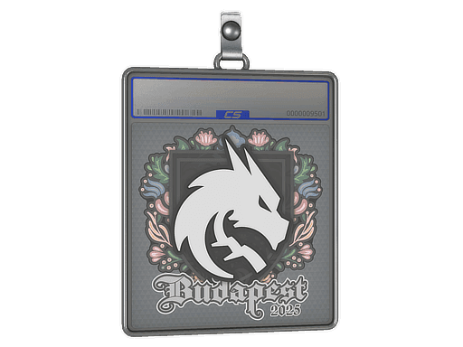 Sticker Slab | Team Spirit | Budapest 2025