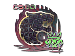 Sticker | FURIA (Holo) | 2020 RMR