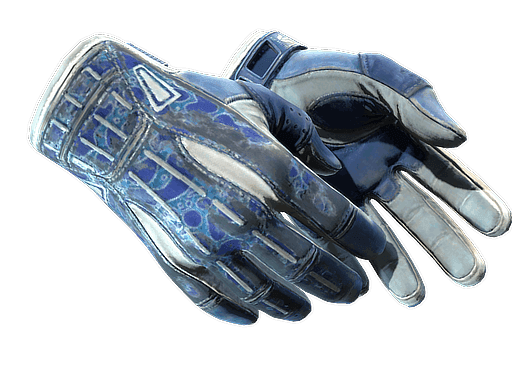 ★ Sport Gloves | Amphibious